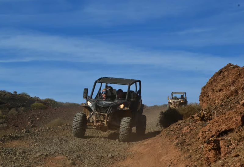 Excursiones para cruceros